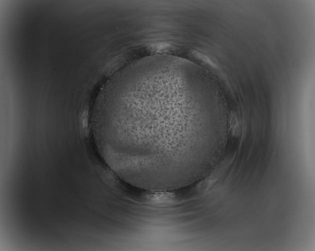 X0000089380670200706291318