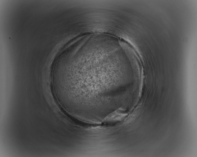 X0000089380673200706291317