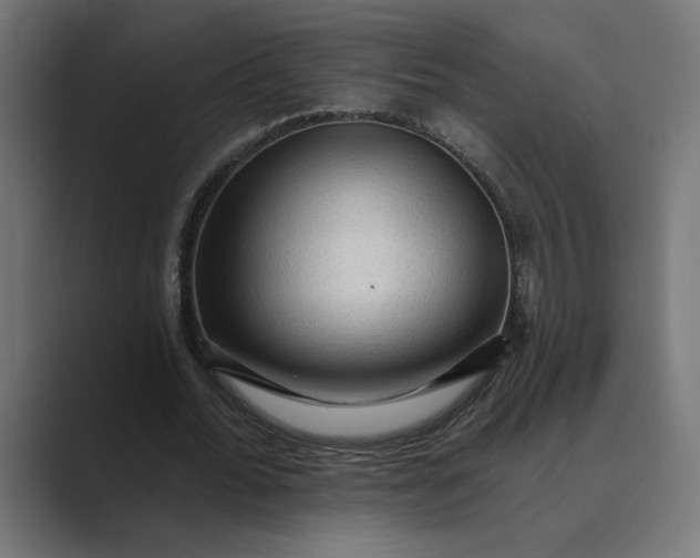 X0000089380676200706291317