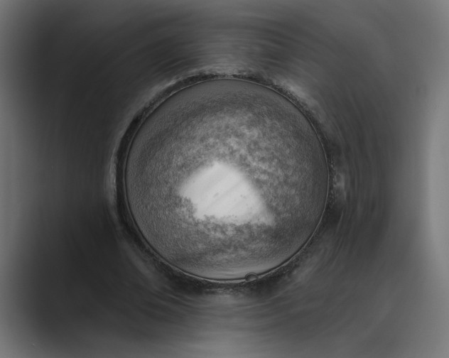 X0000089380678200706291317