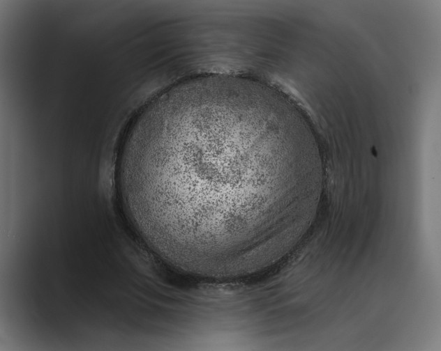 X0000089380679200706291317