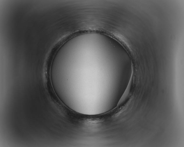 X0000089380680200706291317