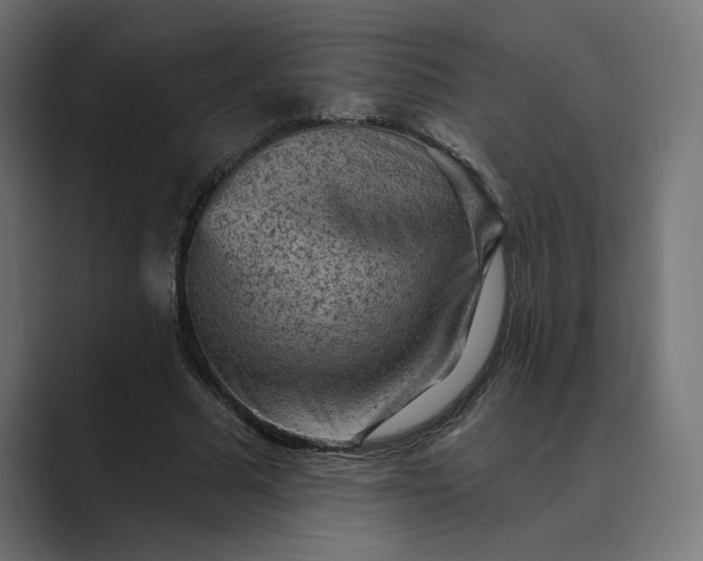X0000089380681200706291317