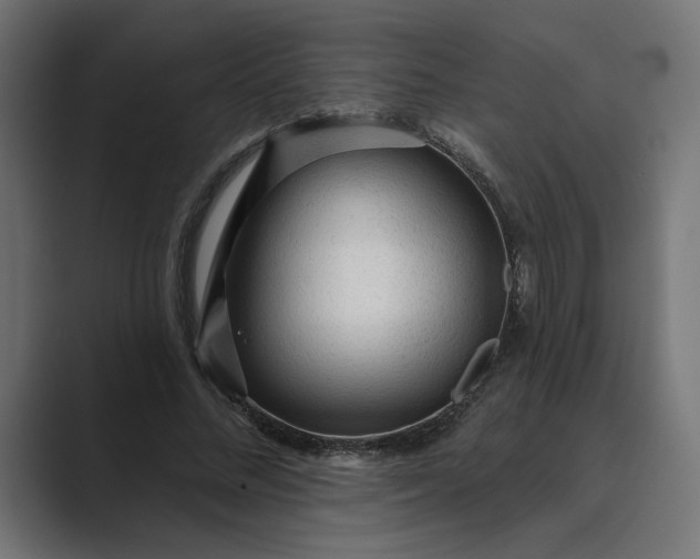 X0000089380684200706291317