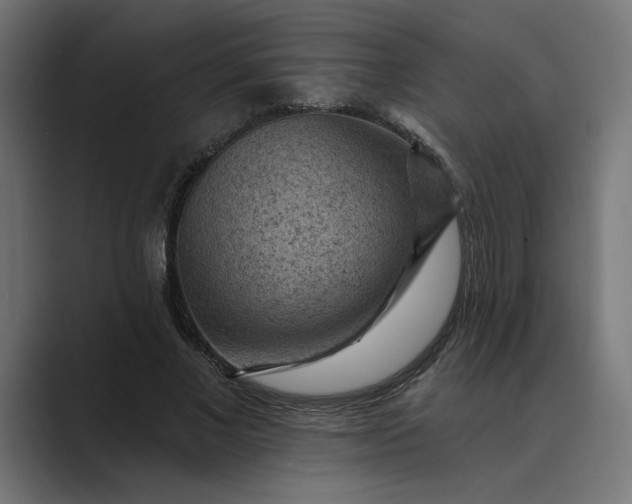 X0000089380685200706291317