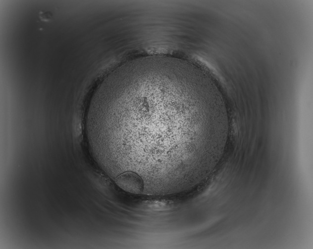X0000089380687200706291317
