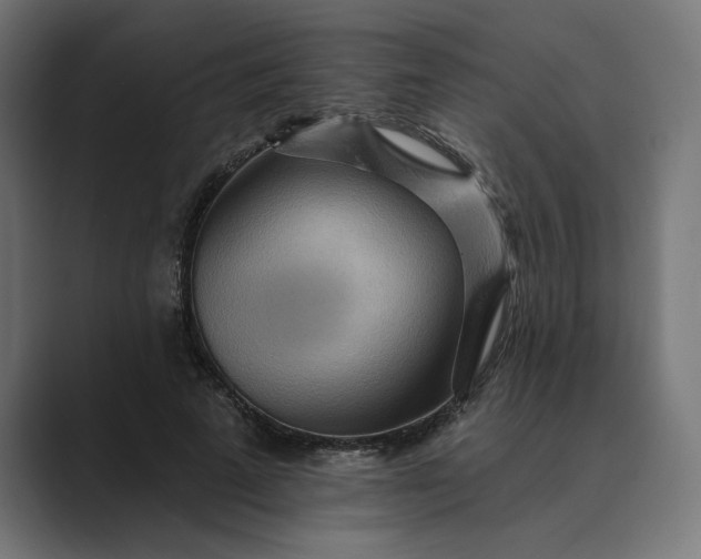 X0000089380689200706291317