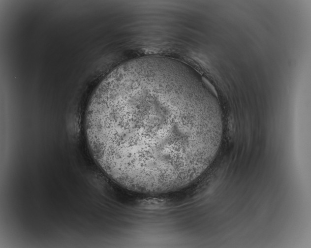 X0000089380691200706291317