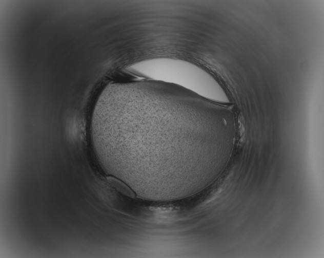 X0000089380693200706291317