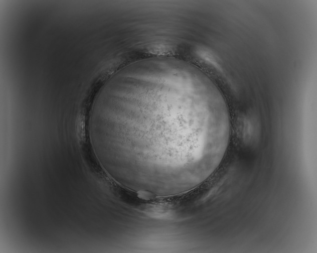 X0000089380696200706291317
