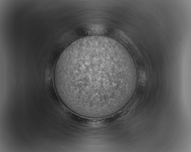 X0000089380701200706291317