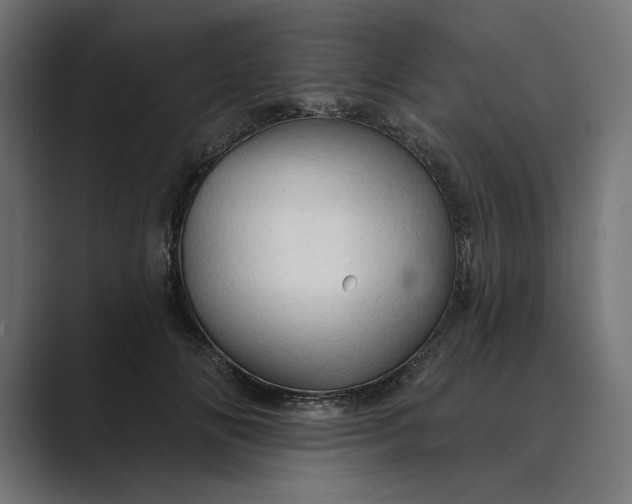 X0000089380702200706291317