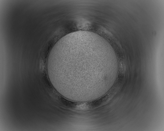 X0000089380705200706291317