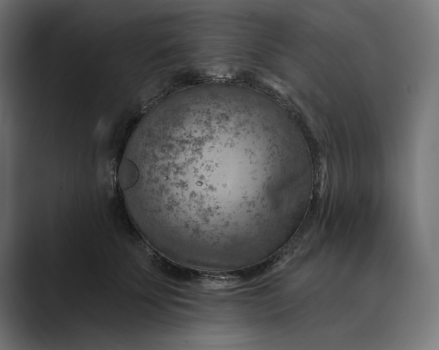 X0000089380707200706291317