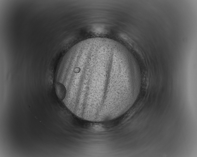 X0000089380710200706291317