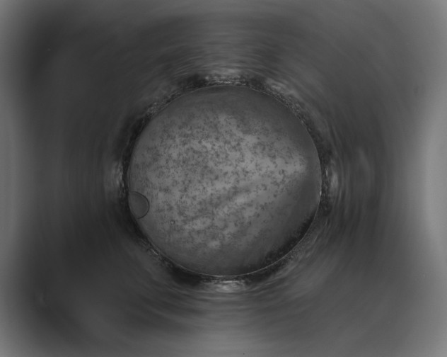 X0000089380711200706291317