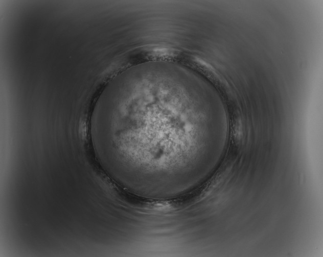 X0000089380715200706291317