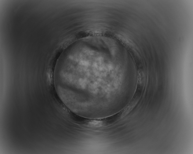 X0000089380718200706291317