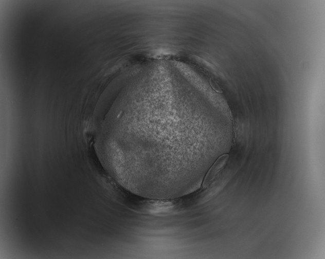 X0000089380719200706291317