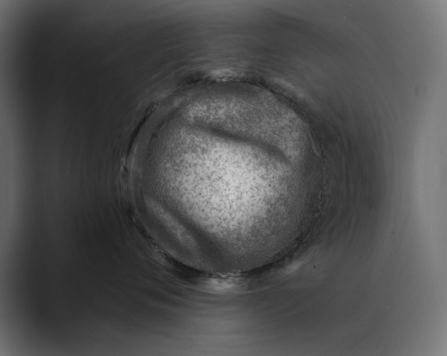 X0000089380720200706291317