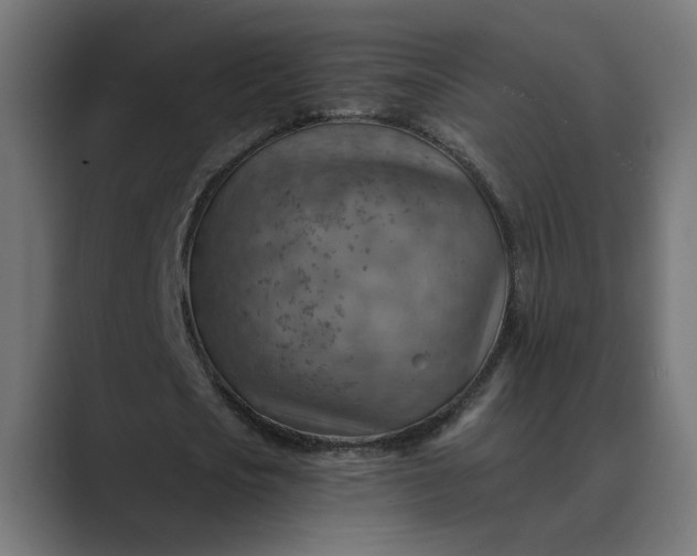X0000089380721200706291316