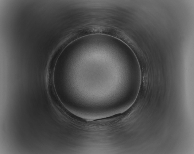 X0000089380722200706291316