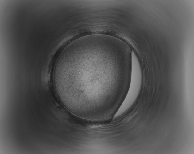 X0000089380723200706291316
