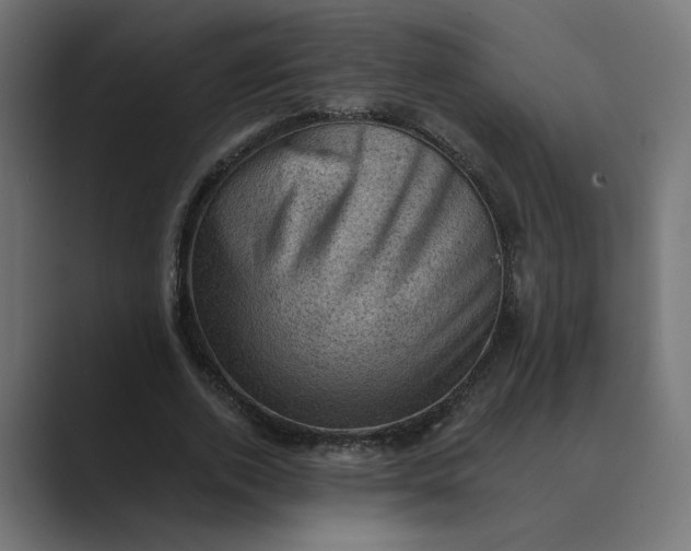 X0000089380728200706291316