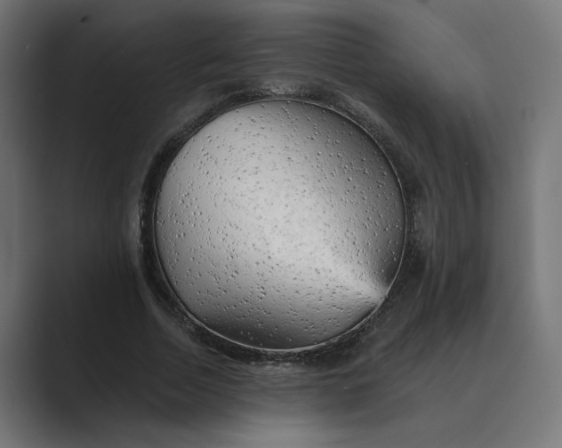 X0000089380730200706291316