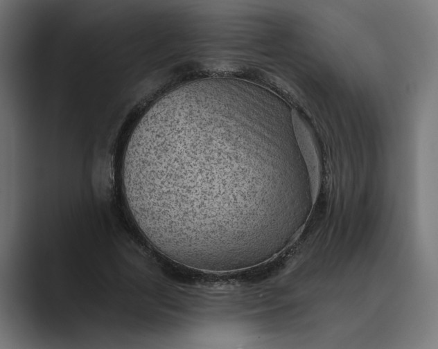 X0000089380731200706291316