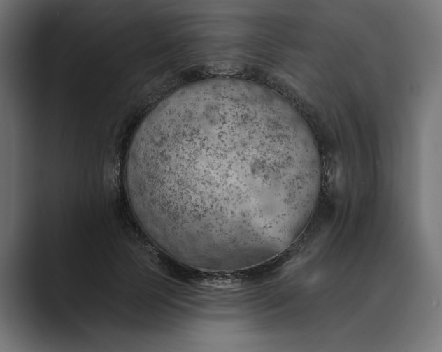 X0000089380745200706291316