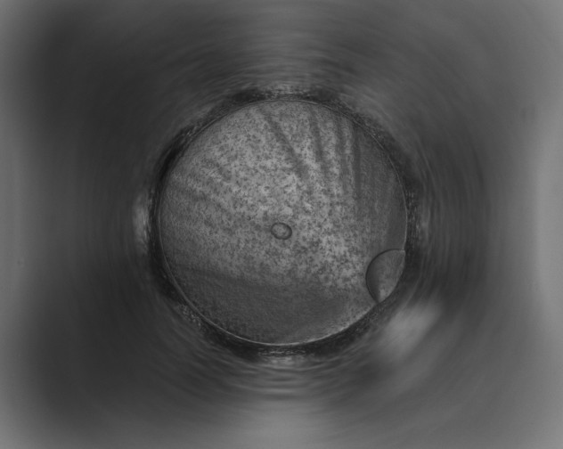X0000089380746200706291316