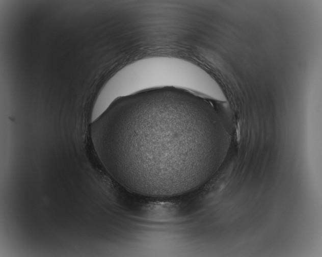 X0000089380748200706291316