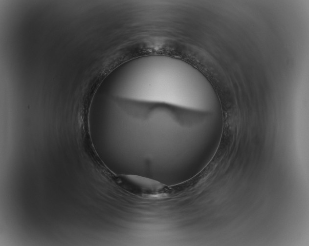 X0000089380754200706291316