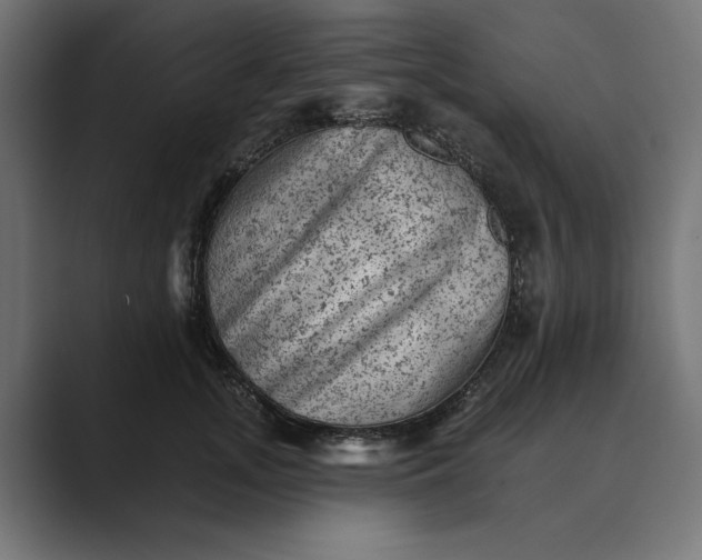 X0000089380755200706291316