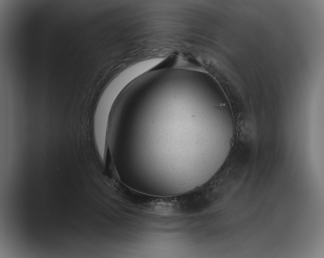 X0000089380756200706291316