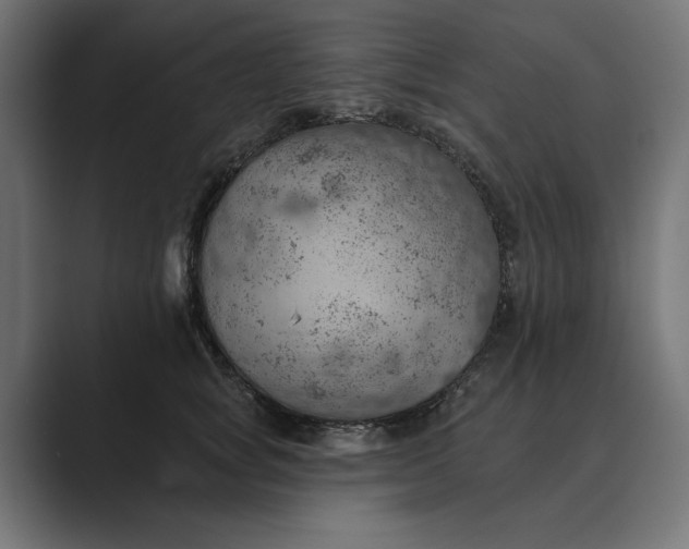 X0000089380757200706291316
