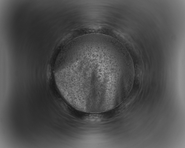 X0000089380758200706291316
