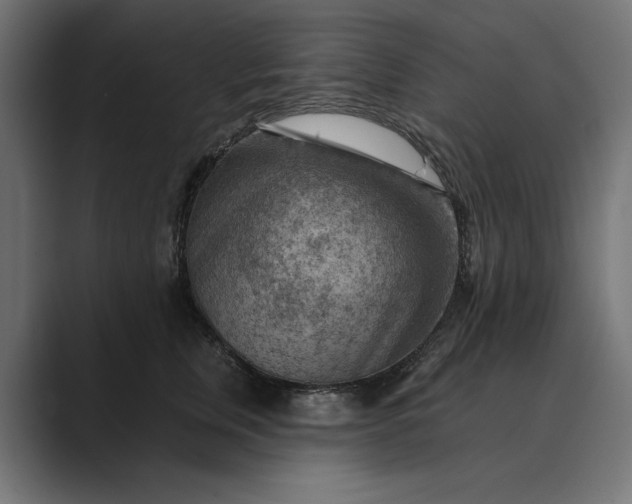 X0000089380759200706291316