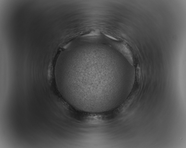 X0000089380760200706291316