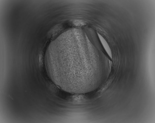 X0000089380762200706291316