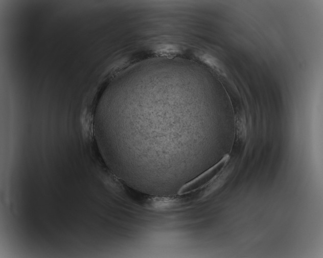 X0000089380766200706291317