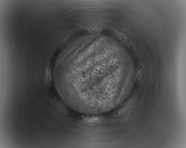 X0000089380772200706291316