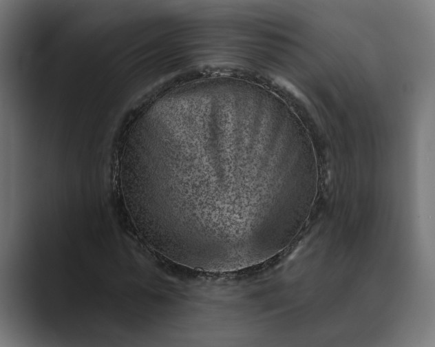 X0000089380775200706291316