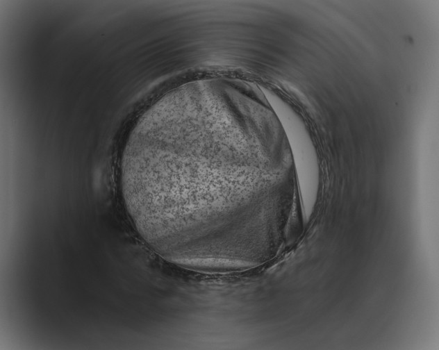X0000089380776200706291316