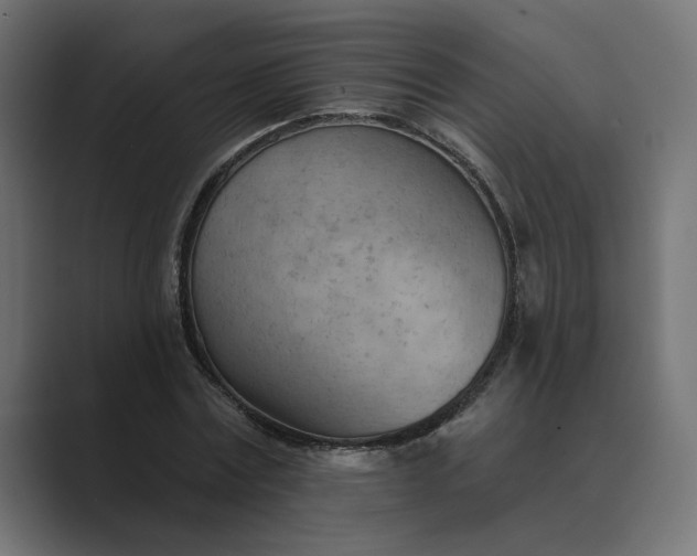 X0000089380779200706291316