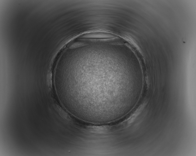 X0000089380781200706291316