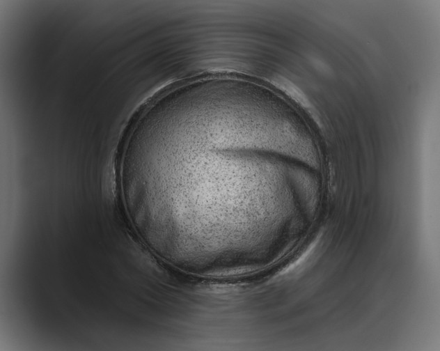 X0000089380782200706291316