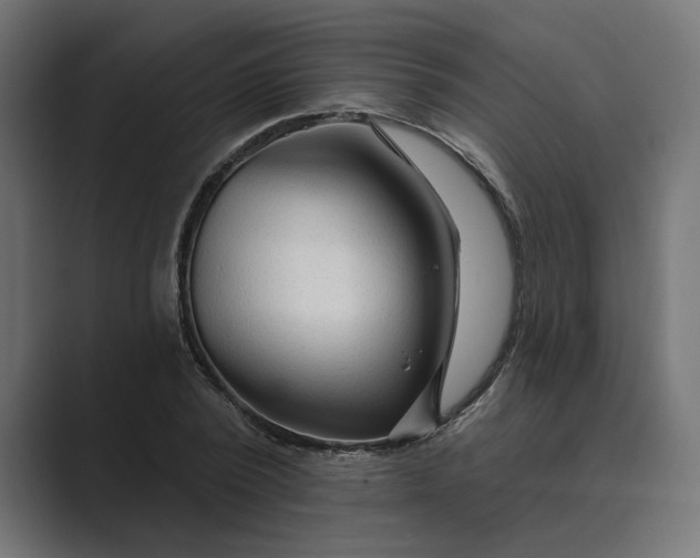 X0000089380784200706291316