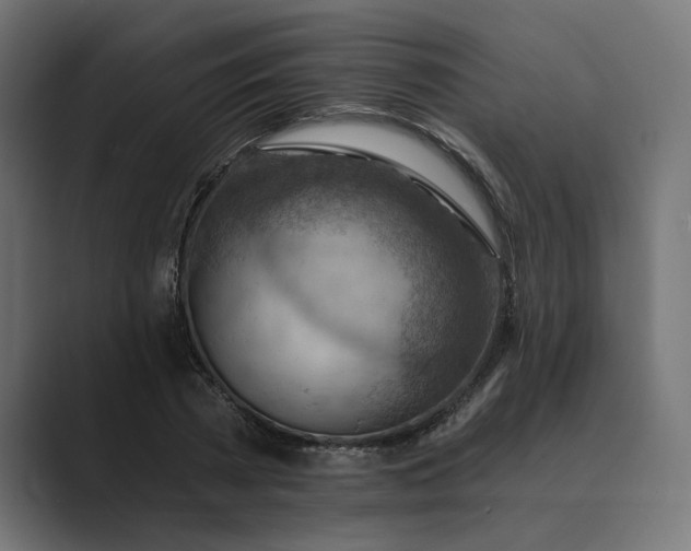 X0000089380785200706291316